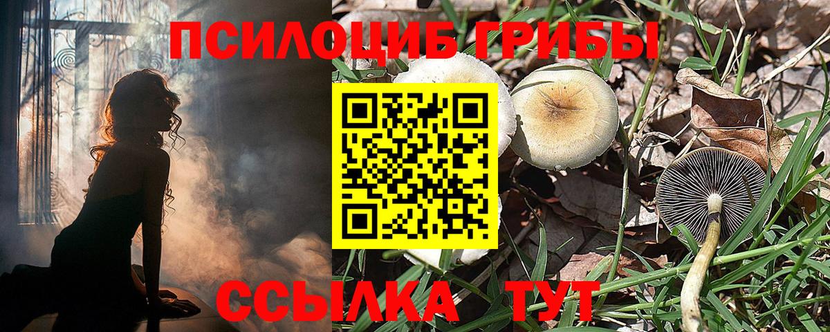Галлюциногенные грибы мицелий  Галлюциногенные грибы Cubensis  Вход с VPN  наркошоп  Орёл 