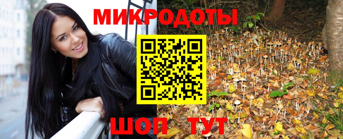 Псилоцибиновые грибы мицелий Орёл